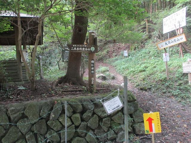 画像7: 【山旅会・登山ガイドこだわりツアー】岡田ガイドからの便り・大霧山ツアーの下見に行ってきました!