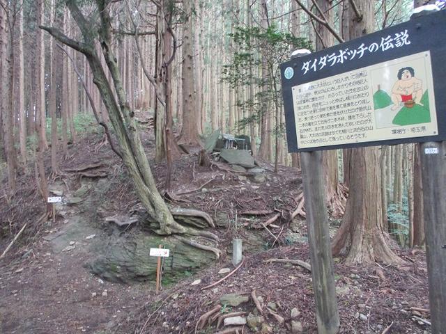 画像5: 【山旅会・登山ガイドこだわりツアー】岡田ガイドからの便り・大霧山ツアーの下見に行ってきました!