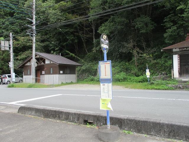 画像9: 【山旅会・登山ガイドこだわりツアー】岡田ガイドからの便り・大霧山ツアーの下見に行ってきました!
