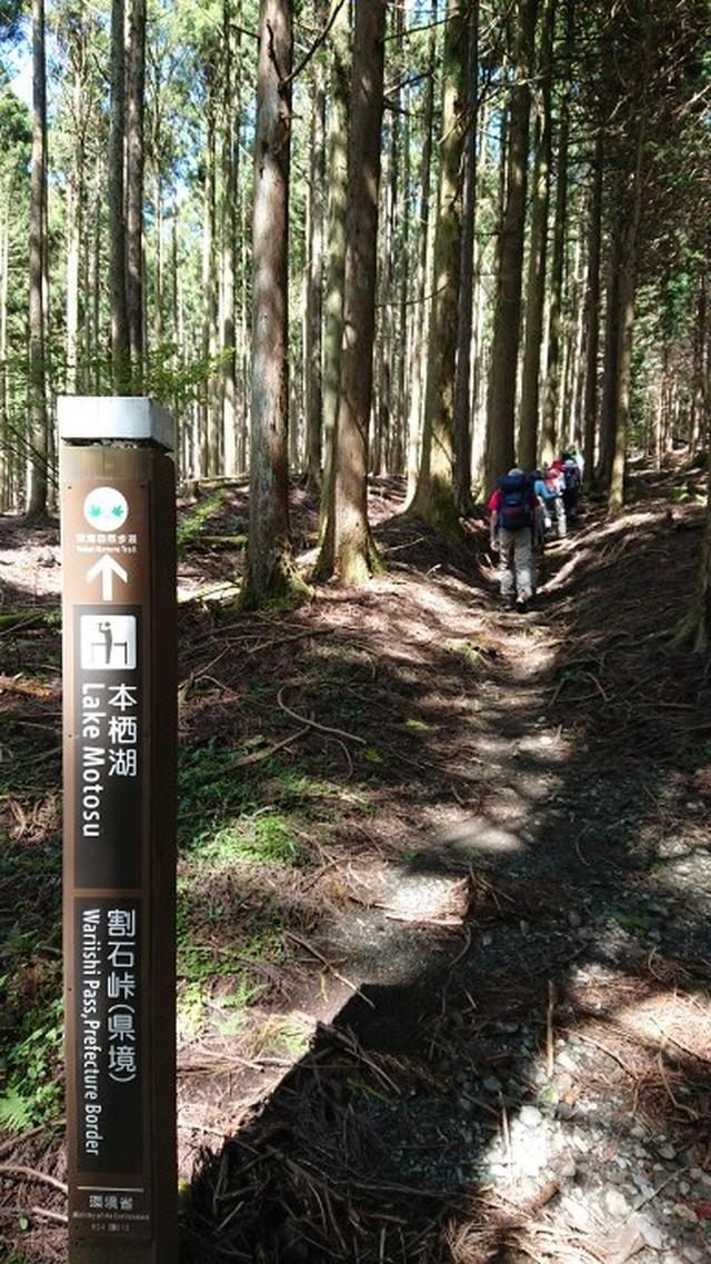 画像2: 9月19日に佐藤威行ガイドのコースで、毛無山塊にたたずむ 「雨ケ岳」 へ行って来ました♪