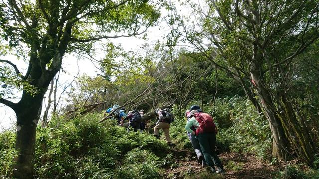 画像3: 9月19日に佐藤威行ガイドのコースで、毛無山塊にたたずむ 「雨ケ岳」 へ行って来ました♪