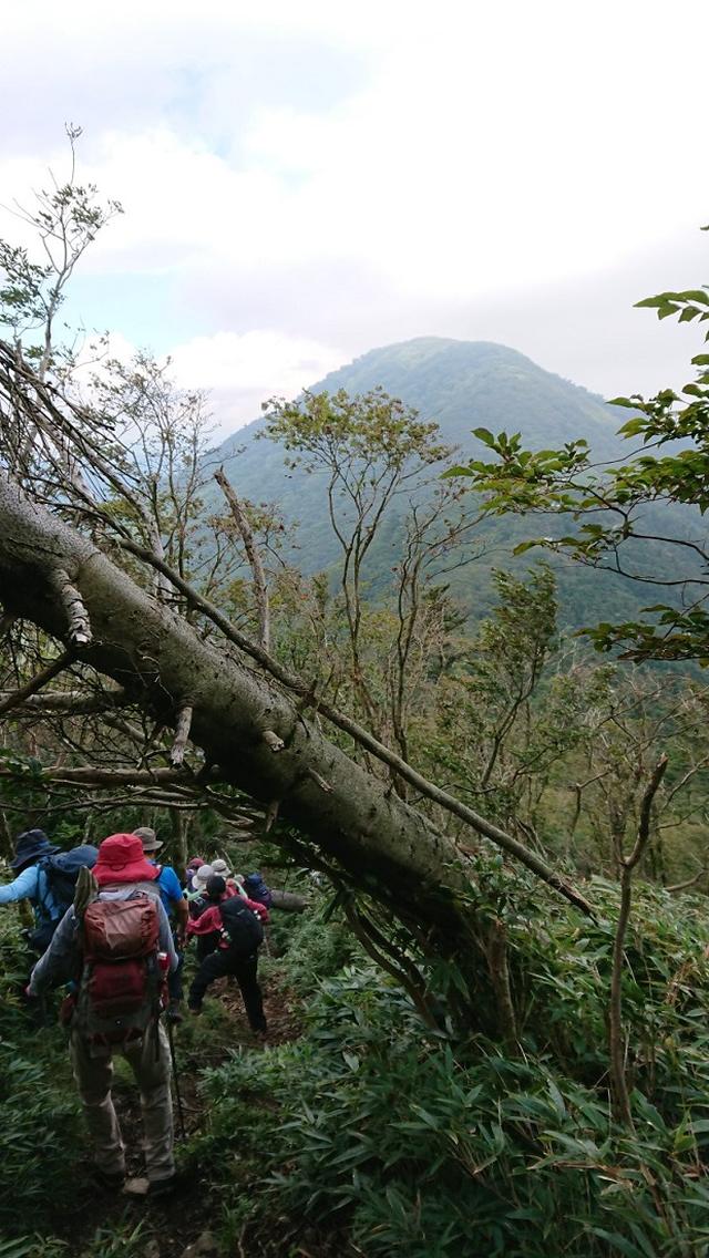 画像9: 9月19日に佐藤威行ガイドのコースで、毛無山塊にたたずむ 「雨ケ岳」 へ行って来ました♪