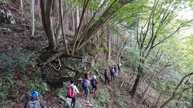 画像12: 9月19日に佐藤威行ガイドのコースで、毛無山塊にたたずむ 「雨ケ岳」 へ行って来ました♪