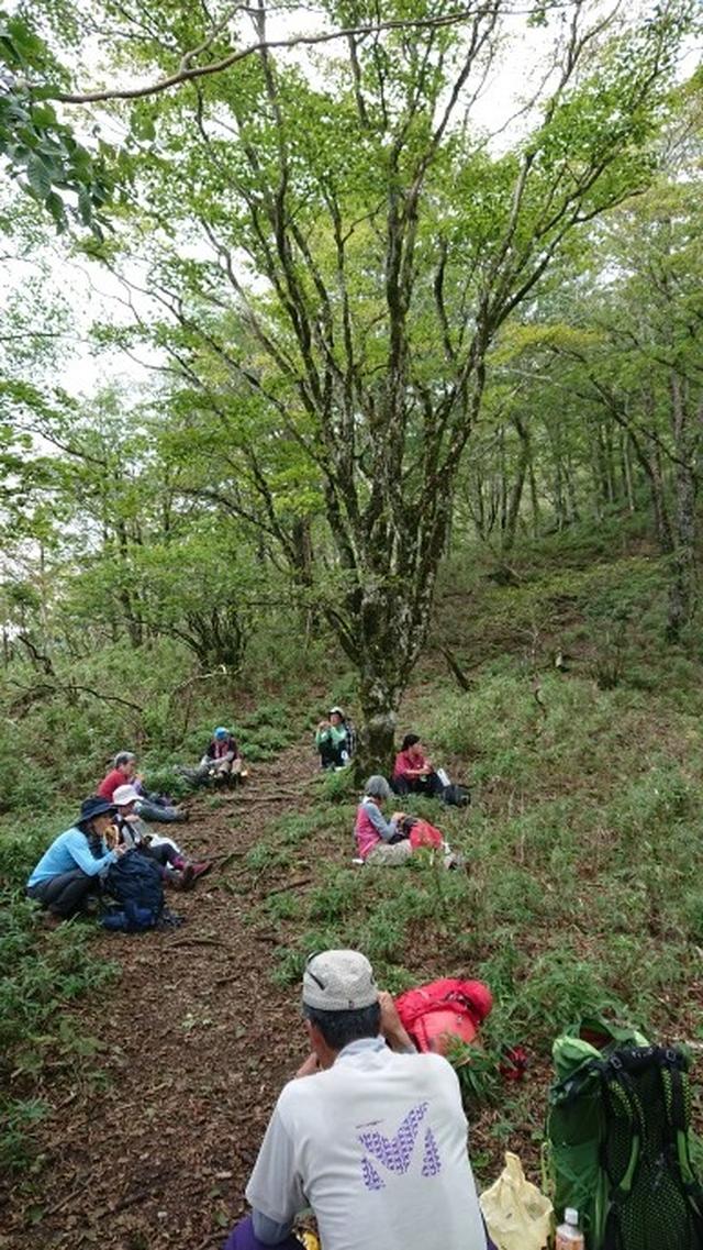 画像4: 9月19日に佐藤威行ガイドのコースで、毛無山塊にたたずむ 「雨ケ岳」 へ行って来ました♪