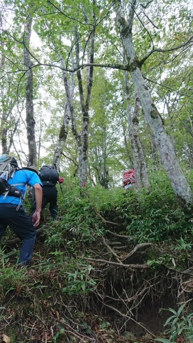 画像6: 9月19日に佐藤威行ガイドのコースで、毛無山塊にたたずむ 「雨ケ岳」 へ行って来ました♪