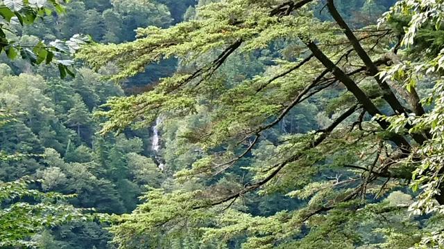 画像3: 9月21~22日と 鬼怒沼湿原 へ行ってきました♪