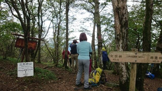 画像6: 9月16日に宮下ガイドのコースで精進湖の近くにたたずむ 三方分山 へ行って来ました♪