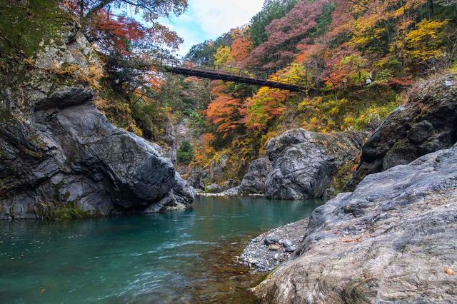 画像: 紅葉の鳩ノ巣渓谷(10月)