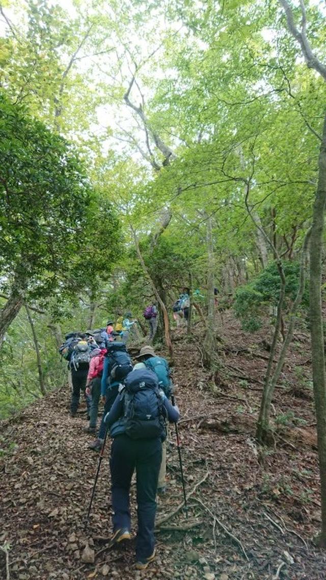 画像7: 9月16日に宮下ガイドのコースで精進湖の近くにたたずむ 三方分山 へ行って来ました♪