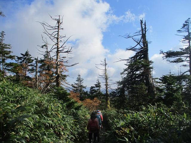 画像5: 9月30日より山旅会 「八幡平・秋田駒」 ツアーに行ってきました!