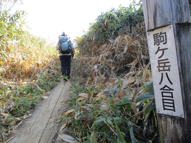 画像8: 9月30日より山旅会 「八幡平・秋田駒」 ツアーに行ってきました!