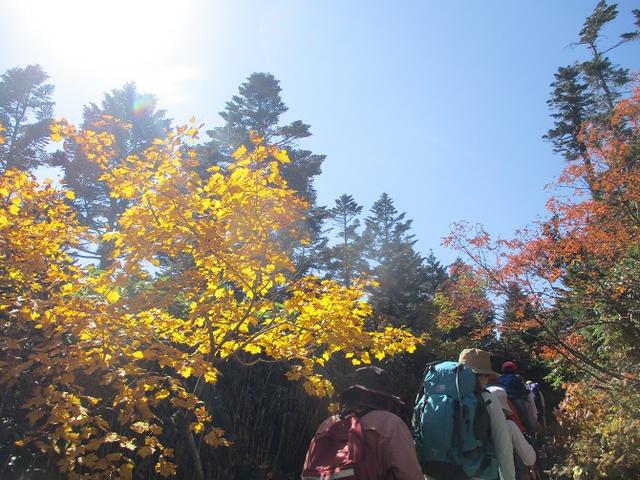 画像5: 9月30日から2日間岡田ガイドのコースで 八幡平・秋田駒ヶ岳 に行ってきました♪