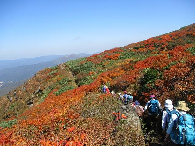 画像9: 9月30日から山旅会 「八幡平・秋田駒ヶ岳」 ツアーに行ってきました!
