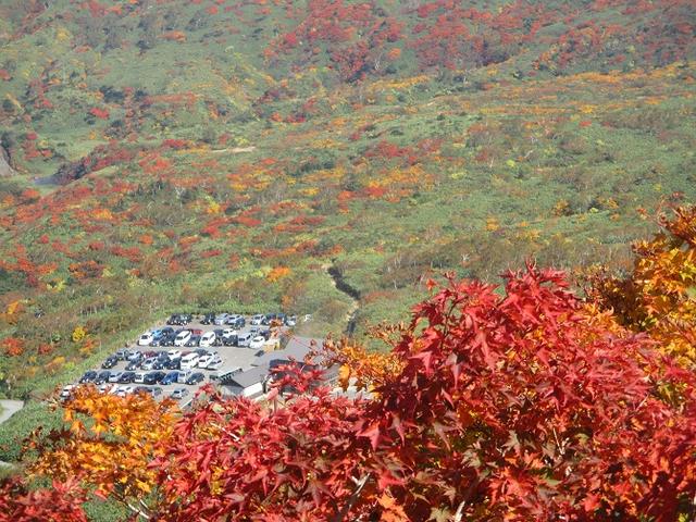 画像11: 9月30日から山旅会 「八幡平・秋田駒ヶ岳」 ツアーに行ってきました!