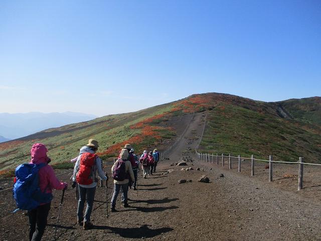 画像12: 9月30日より山旅会 「八幡平・秋田駒」 ツアーに行ってきました!