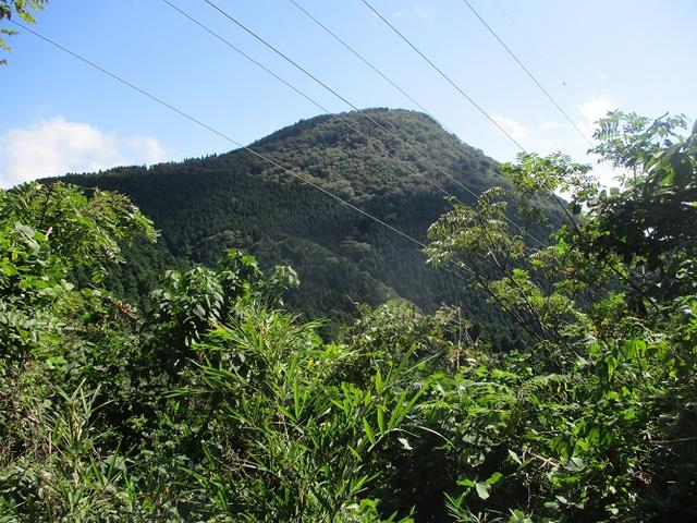 画像7: 10月の山旅会 「矢倉岳」 ツアーの下見に行ってきました!