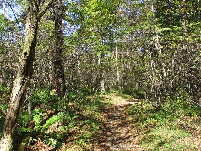 画像8: 10月の山旅会 「小浅間山と信濃路自然歩道」 の直前下見にいってきました!