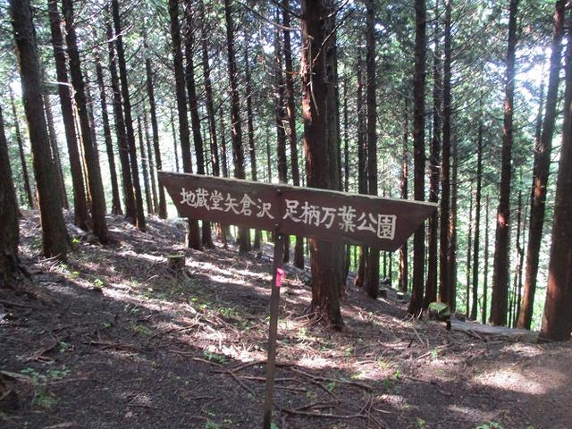 画像6: 10月の山旅会 「矢倉岳」 ツアーの下見に行ってきました!