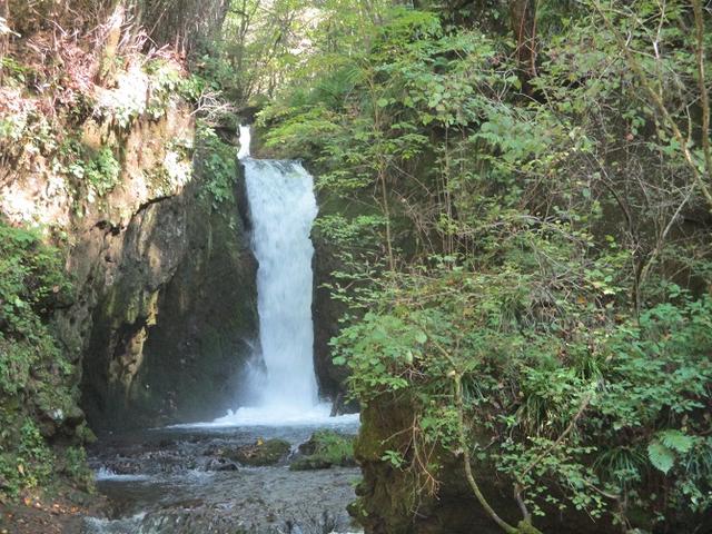 画像11: 10月の山旅会 「小浅間山と信濃路自然歩道」 の直前下見にいってきました!
