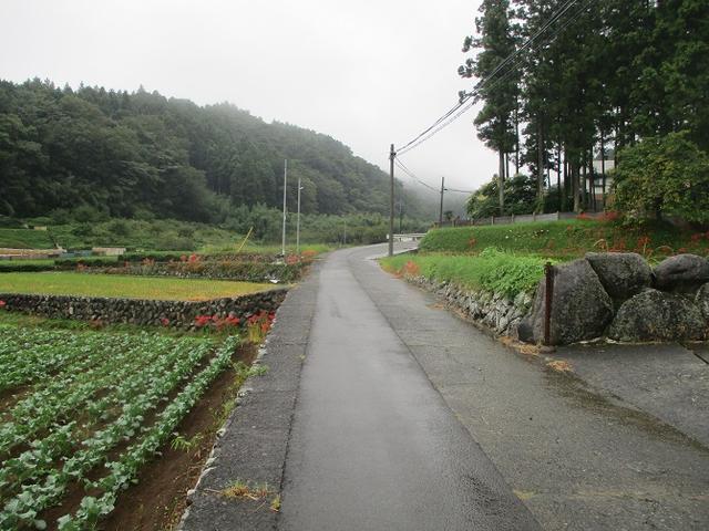 画像1: 10月の山旅会 「矢倉岳」 ツアーの下見に行ってきました!