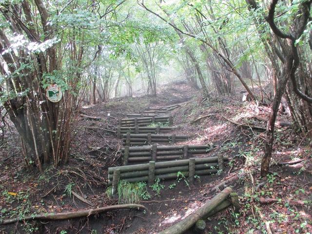 画像4: 10月の山旅会 「矢倉岳」 ツアーの下見に行ってきました!