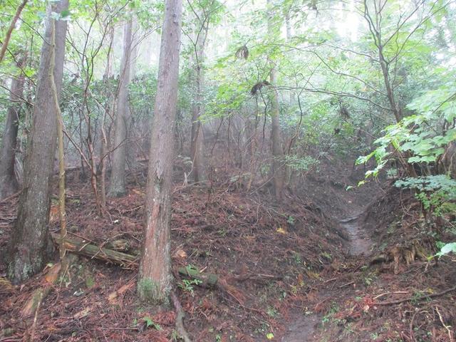 画像3: 10月の山旅会 「矢倉岳」 ツアーの下見に行ってきました!