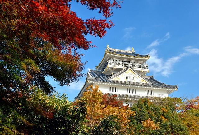 画像: 紅葉の岐阜城(例年の紅葉の見頃は11月上旬~11月下旬)