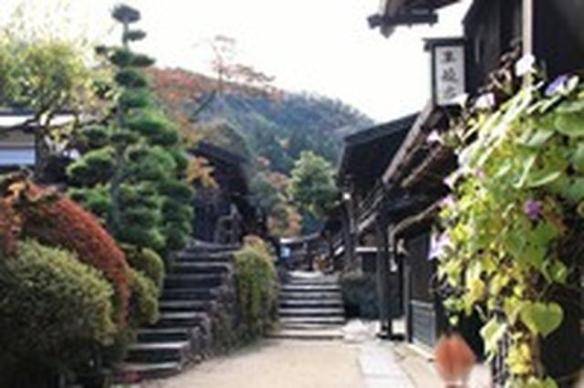 画像: 妻籠宿の紅葉(例年の紅葉の見頃は10月下旬~11月中旬)