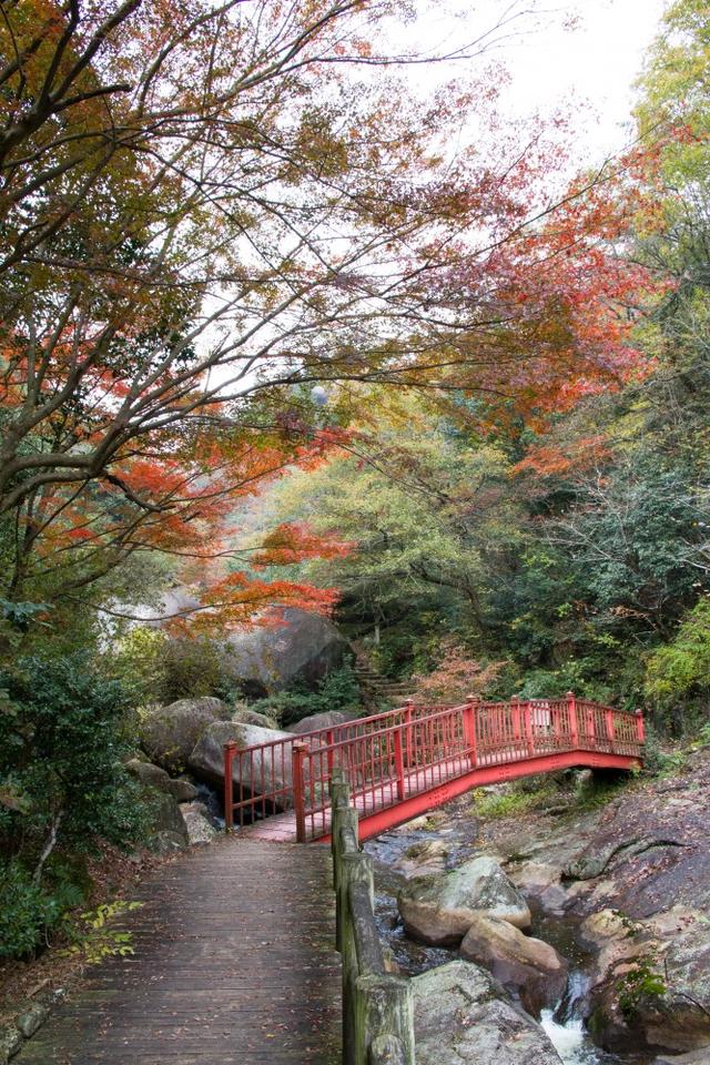 画像: 鬼岩公園(紅葉の見頃は例年10月中旬~11月下旬) 写真提供:瑞浪市観光協会