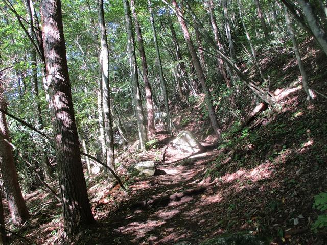 画像1: 10月の山旅会 「日向山」 の下見に行ってきました!