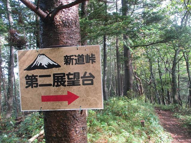 画像8: 10月の山旅会 「御坂黒岳」 ツアーの下見に行ってきました!