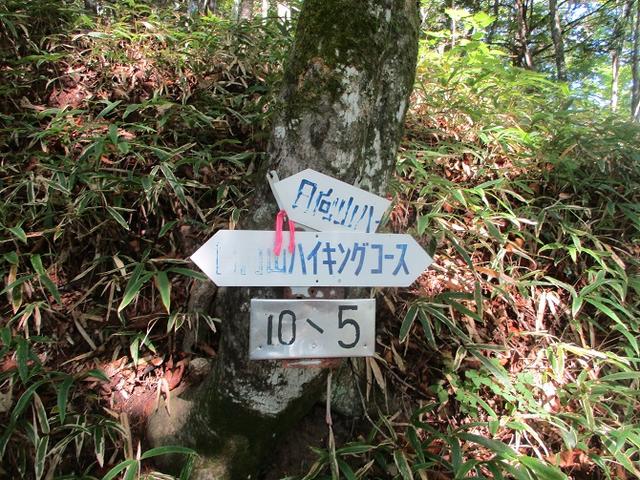 画像5: 10月の山旅会 「日向山」 の下見に行ってきました!