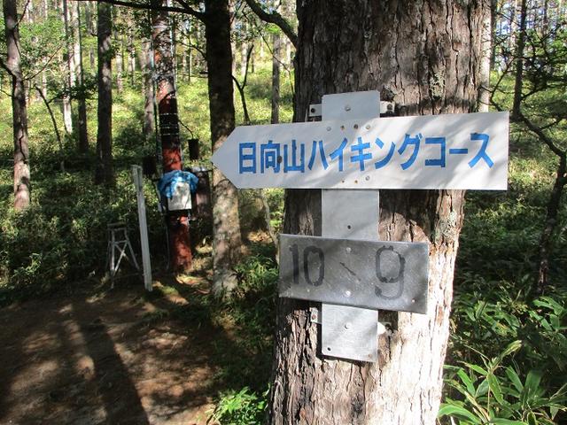 画像6: 10月の山旅会 「日向山」 の下見に行ってきました!
