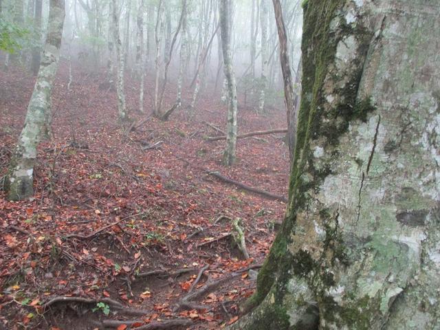 画像4: 10月の山旅会 「御坂黒岳」 ツアーの下見に行ってきました!