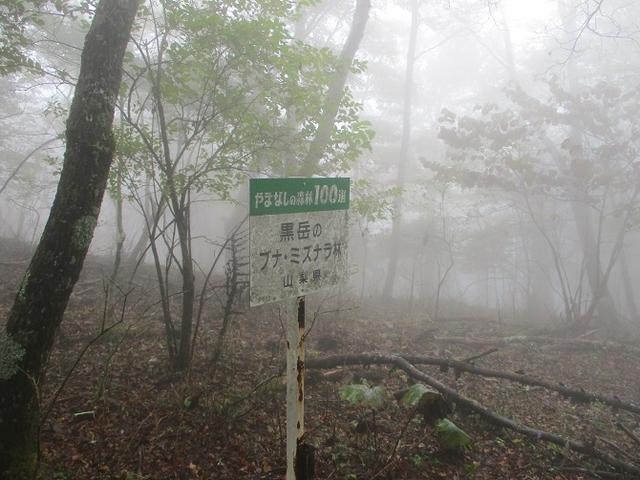 画像5: 10月の山旅会 「御坂黒岳」 ツアーの下見に行ってきました!