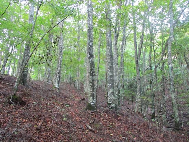 画像3: 10月の山旅会 「御坂黒岳」 ツアーの下見に行ってきました!