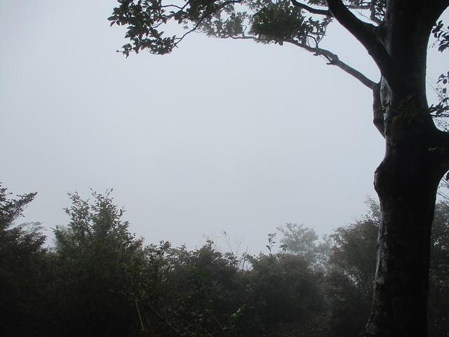 画像7: 10月の山旅会 「御坂黒岳」 ツアーの下見に行ってきました!