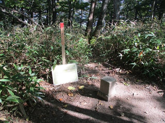 画像7: 10月の山旅会 「日向山」 の下見に行ってきました!