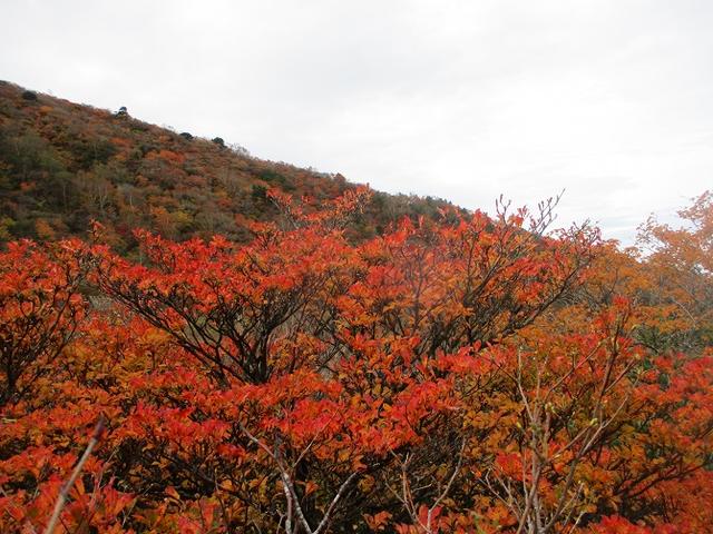 画像4: 10月10日より山旅会 「那須 茶臼岳と姥ヶ平」 ツアーにいってきました!