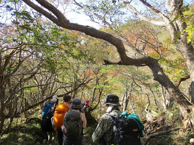 画像6: 10月10日から山旅会 「那須茶臼岳と姥ヶ平」 ツアーにいってきました!