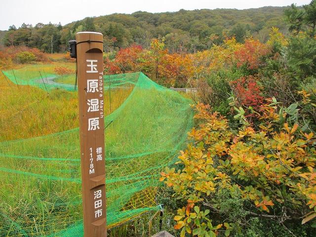 画像11: 【山旅会・登山ガイドこだわりツアー】岡田ガイドからの便り・尼ヶ禿山ツアーの下見に行ってきました!