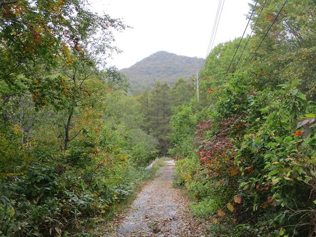 画像3: 【山旅会・登山ガイドこだわりツアー】岡田ガイドからの便り・尼ヶ禿山ツアーの下見に行ってきました!