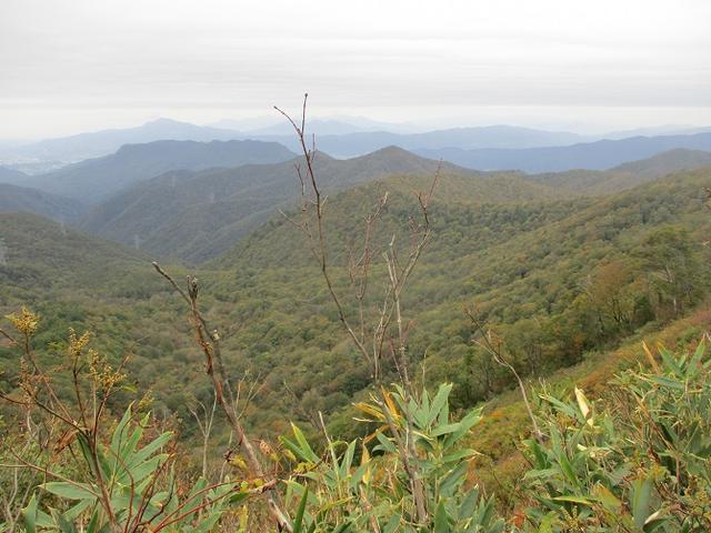 画像7: 【山旅会・登山ガイドこだわりツアー】岡田ガイドからの便り・尼ヶ禿山ツアーの下見に行ってきました!
