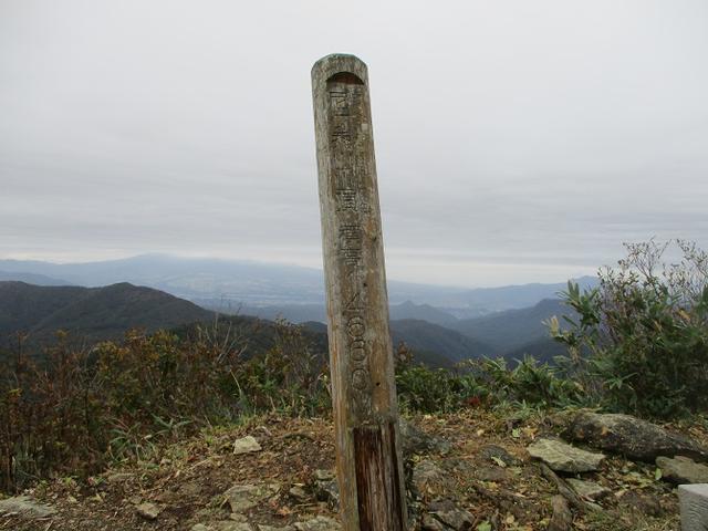 画像8: 【山旅会・登山ガイドこだわりツアー】岡田ガイドからの便り・尼ヶ禿山ツアーの下見に行ってきました!