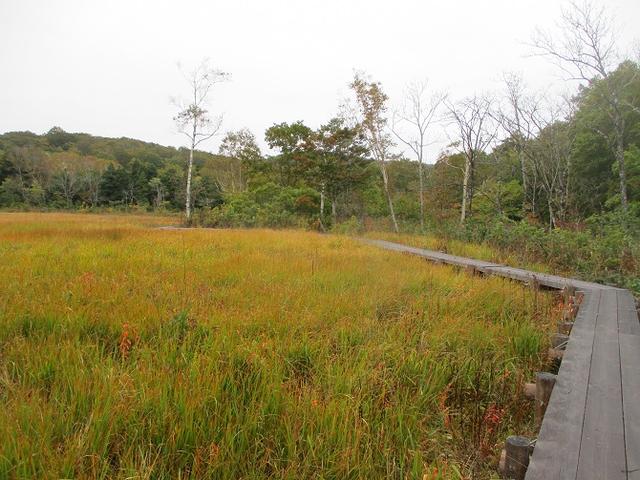 画像9: 【山旅会・登山ガイドこだわりツアー】岡田ガイドからの便り・尼ヶ禿山ツアーの下見に行ってきました!