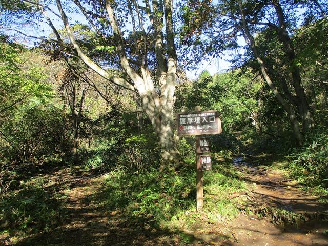 画像5: 11月の山旅会少人数ツアー 「霊山(りょうぜん)」 の下見にいってきました!
