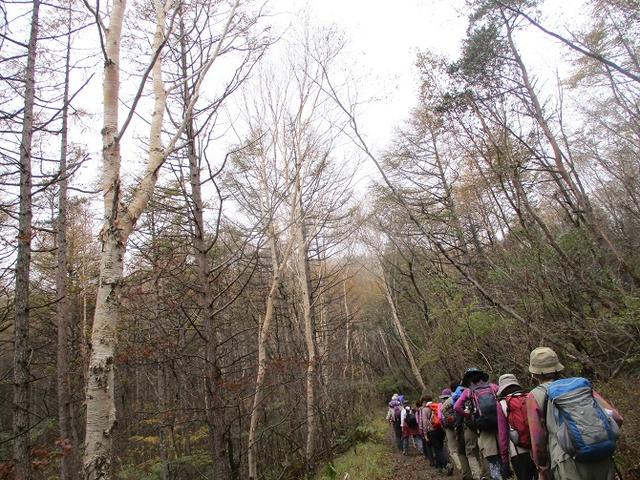 画像5: 先日10月21日に山旅会 小浅間山 に行ってきました♪