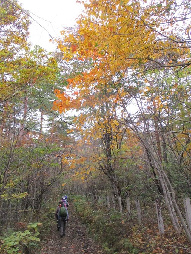 画像2: 先日10月21日に山旅会 小浅間山 に行ってきました♪