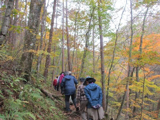 画像11: 先日10月21日に山旅会 小浅間山 に行ってきました♪