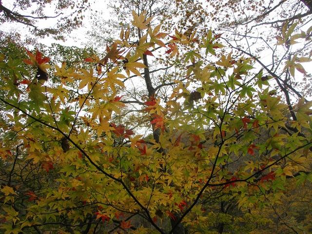 画像12: 先日10月21日に山旅会 小浅間山 に行ってきました♪